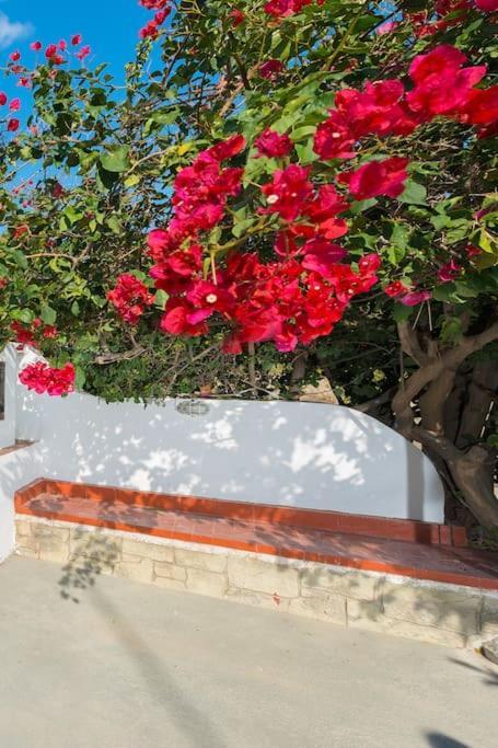 Greek Style Ground Floor Apartment & Pool Ialysos (Rhodes) Exterior foto