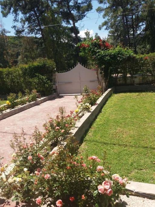 Greek Style Ground Floor Apartment & Pool Ialysos (Rhodes) Exterior foto