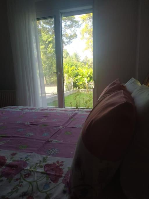 Greek Style Ground Floor Apartment & Pool Ialysos (Rhodes) Exterior foto