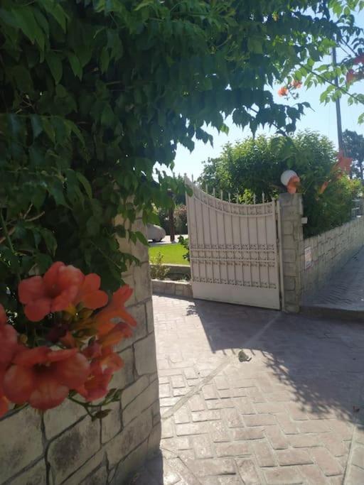 Greek Style Ground Floor Apartment & Pool Ialysos (Rhodes) Exterior foto