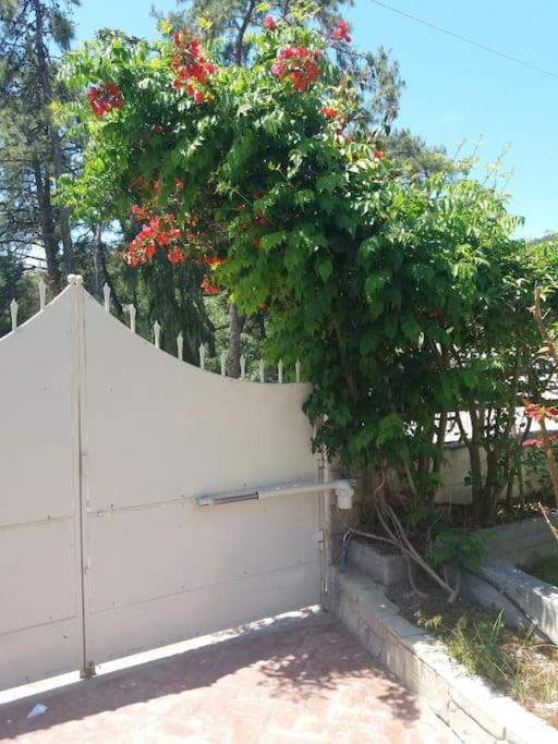 Greek Style Ground Floor Apartment & Pool Ialysos (Rhodes) Exterior foto